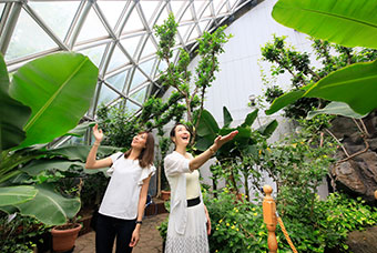 Maruseppu Insectarium