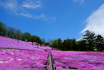 太陽の丘遠軽公園